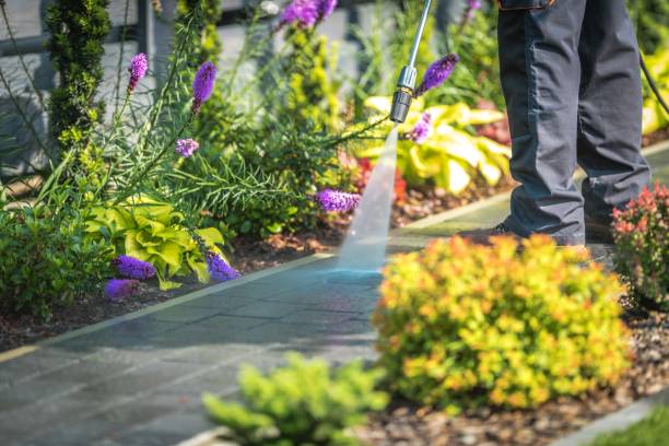 Best Gutter Cleaning  in Commerce, GA